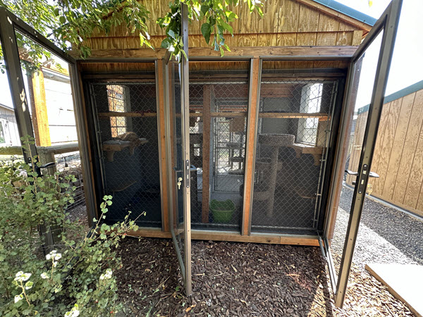 The Catio